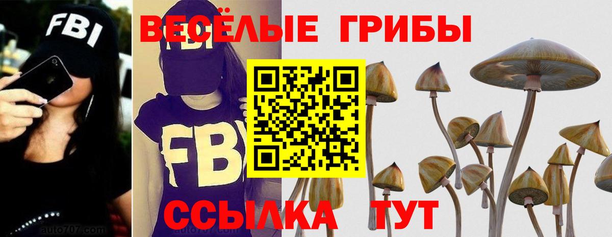Псилоцибиновые грибы мухоморы  купить наркотик  Белебей  Вход с VPN 