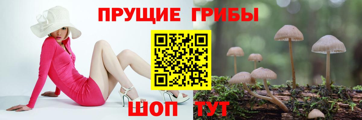 Галлюциногенные грибы Psilocybine cubensis Белебей